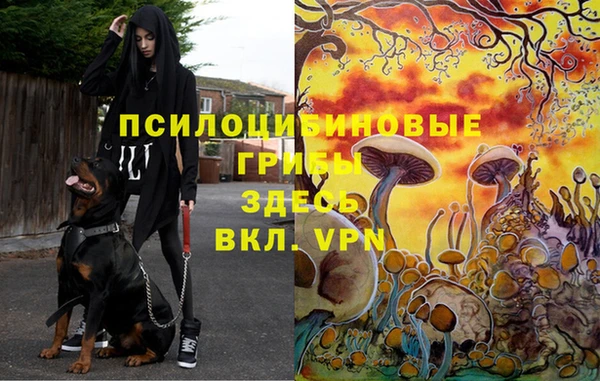 мескалин Алексин