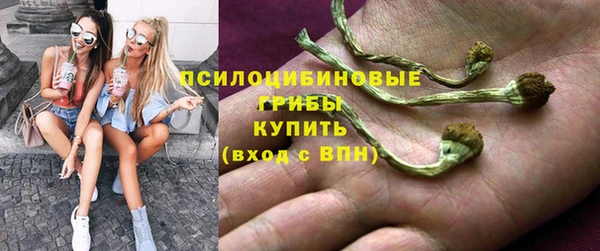 ECSTASY Алзамай