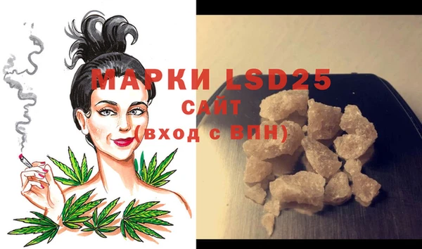 ECSTASY Алзамай
