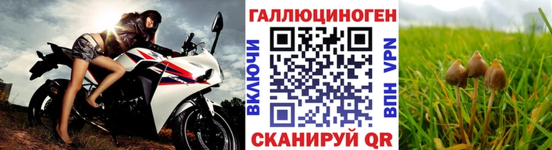 кракен сайт  купить   Макушино  Галлюциногенные грибы Cubensis 