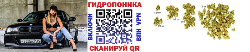 Канабис AK-47 купить Макушино
